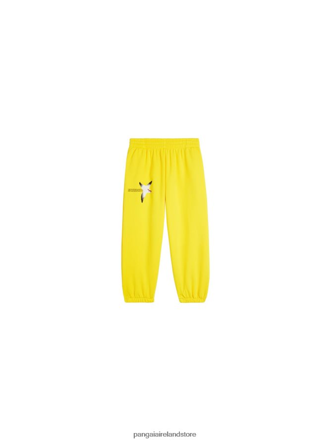 Kids Pangaia Clothes Wahp Track Pants TT8Z42648 Saffron Yellow