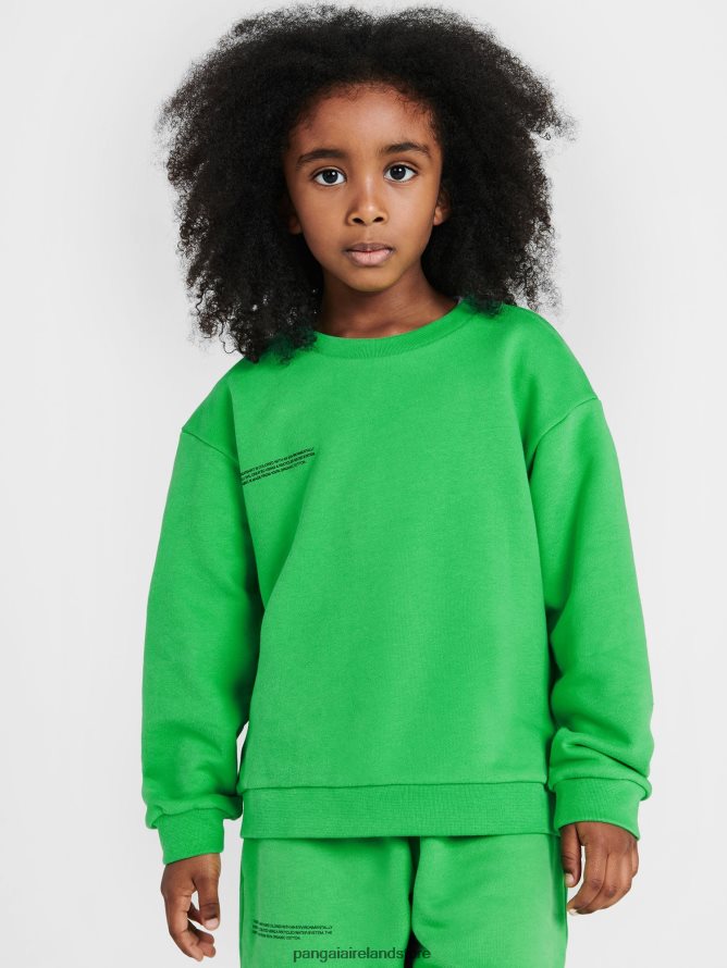 Kids Pangaia Clothes 365 Sweatshirt TT8Z42565 Jade Green