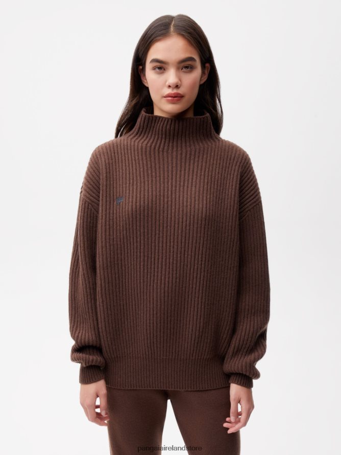 Women Pangaia Clothes Recycled Cashmere Funnel - Neck Sweater TT8Z4287 Chestnut Brown